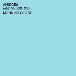 #9BDCE6 - Morning Glory Color Image